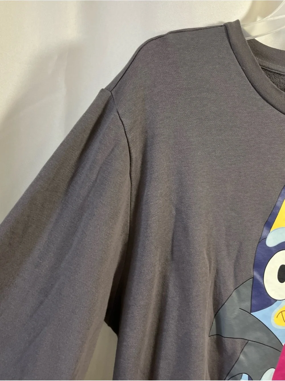 BLUEY Vampire Halloween Sweatshirt Men's Size XXL Crewneck Charcoal Gray